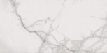 SP6110L ROYAL STATUARIO LUX+ 60x120