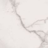 SP6010P ROYAL STATUARIO ANTICATO 60x60