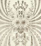 Pannello Floreale Pergamena Set Compos 80*90