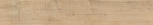   ALNUS NEUTRO 15x90