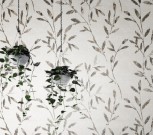 DECORANDUM