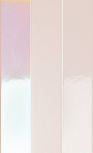 Rose Hologram Mix 525
