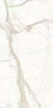 PL612527 Bianco Calacata Luc 120x60