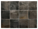 Black Ash 10x10