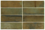 Wild Olive 5,1x16,1