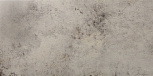 Gris  49.1x98.2