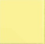 Flexi 2 Yellow Bri 30*30