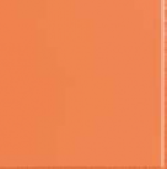 Flexi 2 Orange Mat 30*30