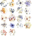 ACUARELAS MIX18 25.8x29