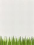 34042 Decor   25x33 