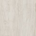CP 11 60x60 