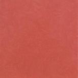 Newport Rojo 31,6x31,6