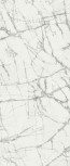 60x120 .   610015000496