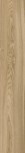 OAK GINGER RTT 20X120