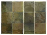 Wild Olive 10x10