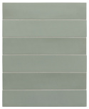 Mint 6x30