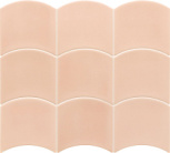 Primrose Pink 12x12