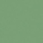 Frog  11,5x11,5