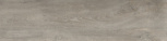 Ash 30x120
