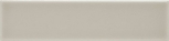 ADNE1096 Liso PB Silver Mist 5x20 