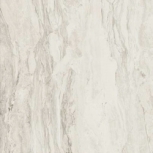 White Rett 58,558,5