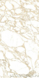 Gold Double Polished 60x120