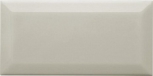 ADNE2052 Biselado PB Silver Mist 10x20