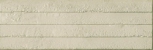   Progress White 25x75