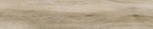   Atelier Beige 23,3x120