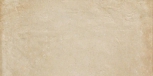   Siena 30x60 RT Silk.