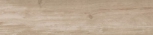  Lithos FASSA 23x100