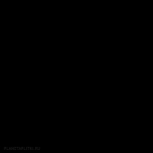 Prisma Negro 33,833,8 