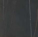 Black Shine 60x60