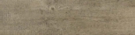   Taupe 16,5x66,4