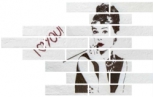 White Image Compo Brick 56x78