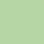 Menta 20 20x20
