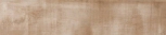 ALMOND 22x85
