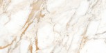 Calacatta Oro  60x120