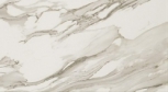 Calacatta Gold 31.5x75 