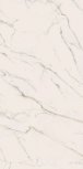 0002513 STATUARIO APUANO LUX ret. 60x120 