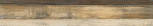 Beige 20120