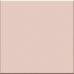Rosa 20x20