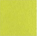 Flexi B Green Mat 30*30