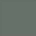 XL Moss 25x25