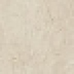 S.S. Ivory Bottone Wax / ..    7,27,2