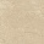 S.S. Cream Bottone Wax / ..    7,27,2