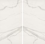 ALBATROS 120240 BOOK MATCH Rectified Parlak Nano