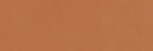 Orange 20x60 