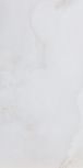 AMARNA SHELL 60x120