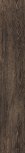 New Wood  19,8119,8